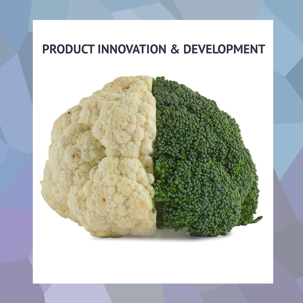 Product Innovation &  Development